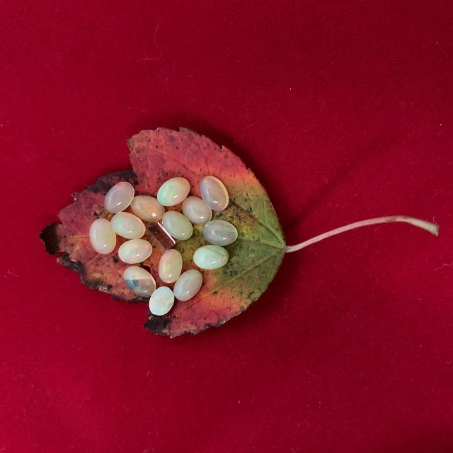 Tourmaline or opal?  If you are an October baby, you don’t have to decide - they are both October’s birthstone!  For more on these lovely gems, visit my blog - the link is in my bio!  #tourmaline #opal #octoberbirthstone #fallcolors